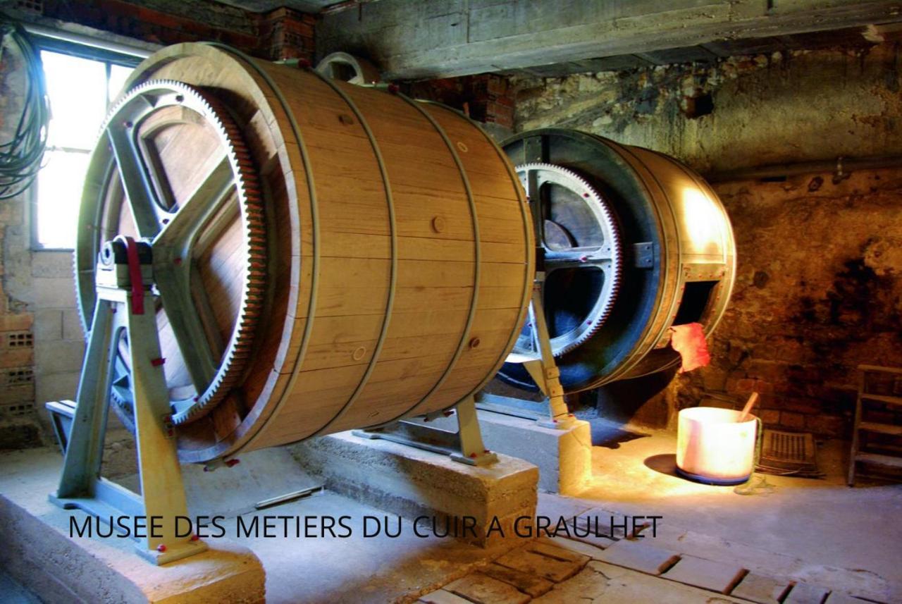 Loft Cosy - Hypercentre - Sauna - 200M2 - Wifi Graulhet Exterior foto